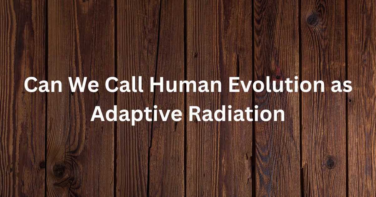 Can We Call Human Evolution as Adaptive Radiation