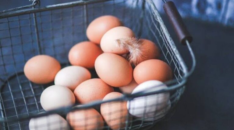 Can I Eat Egg in Jaundice