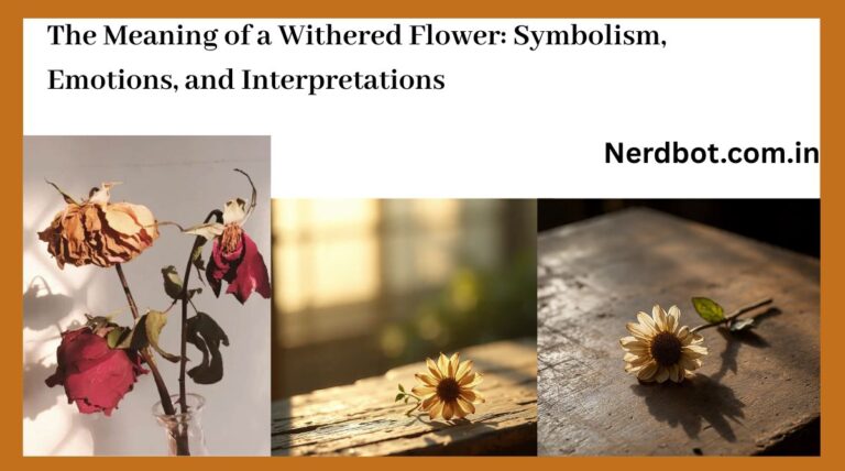 The Meaning of a Withered Flower Symbolism, Emotions, and Interpretations